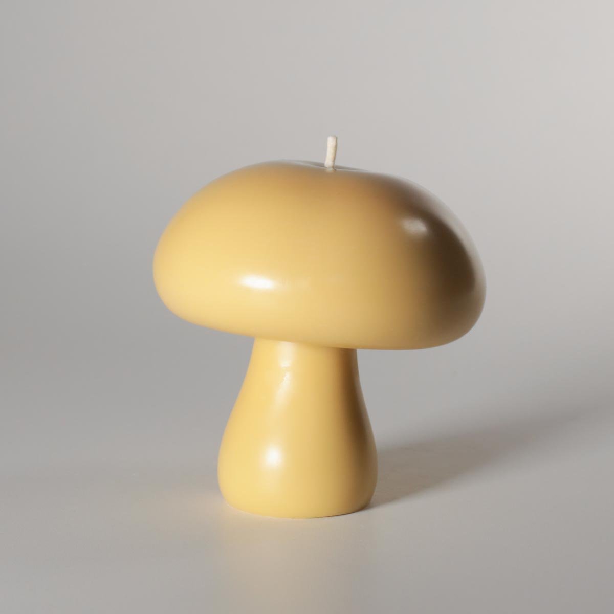 Cogumelo Grande - Imagem 3