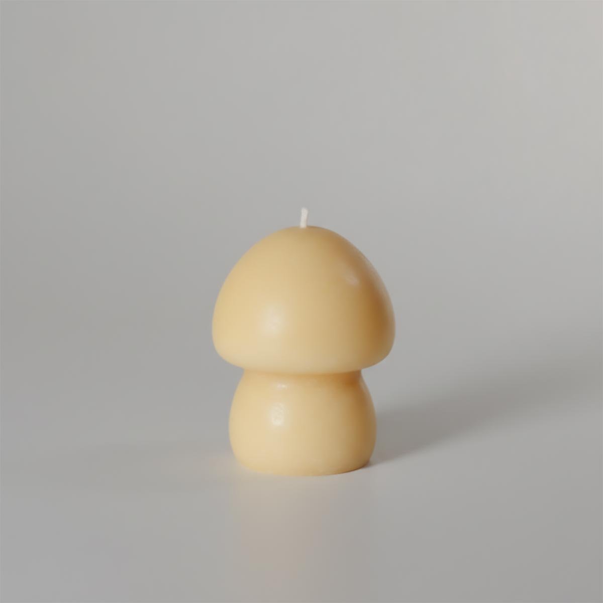 Cogumelo Musgo - Imagem 3