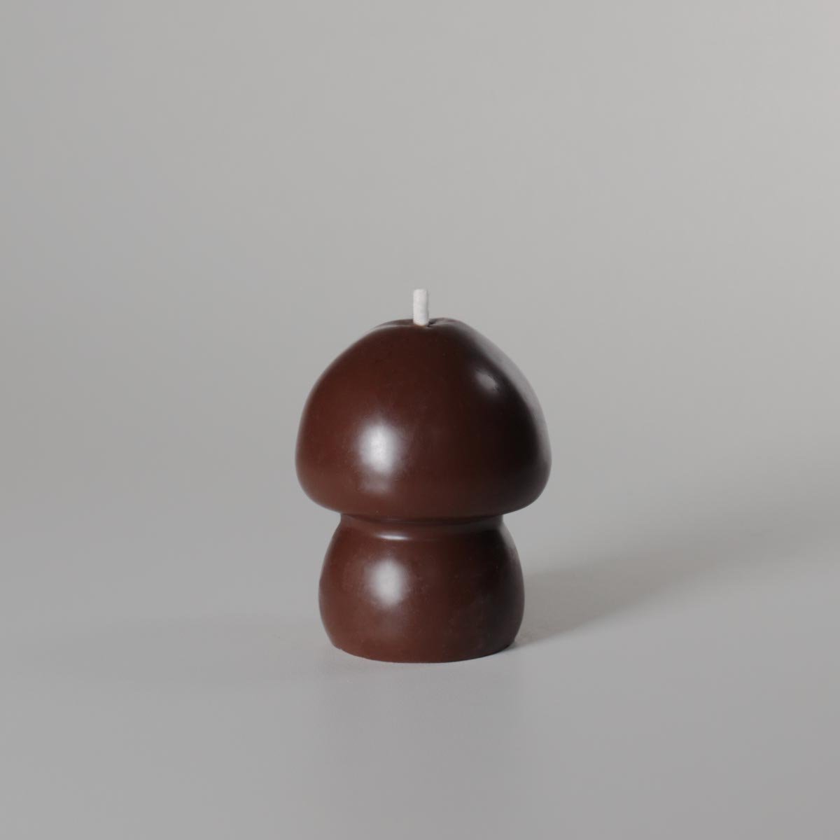 Cogumelo Musgo - Imagem 4