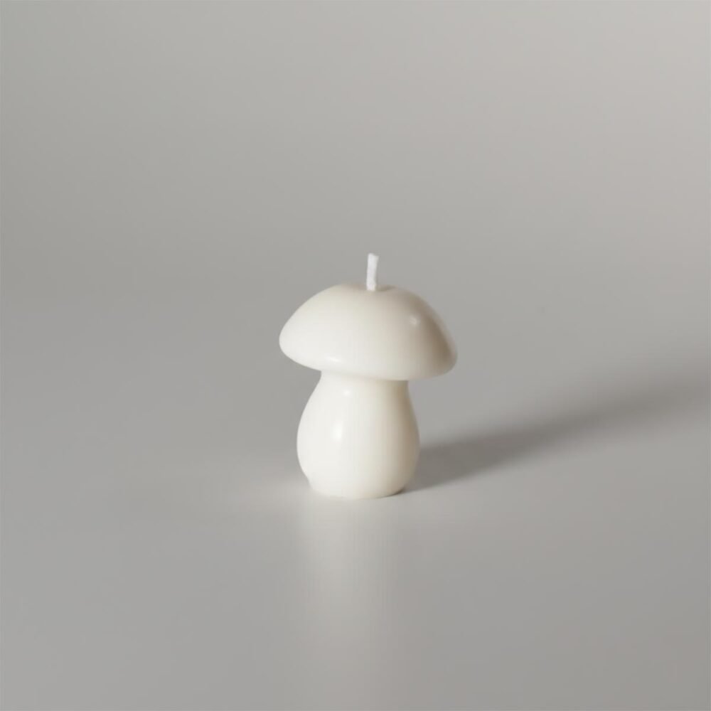 Cogumelo Mini Chapéu