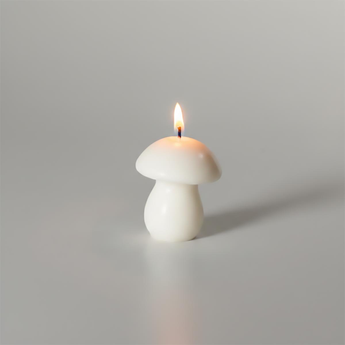 Cogumelo Mini Chapéu - Imagem 2