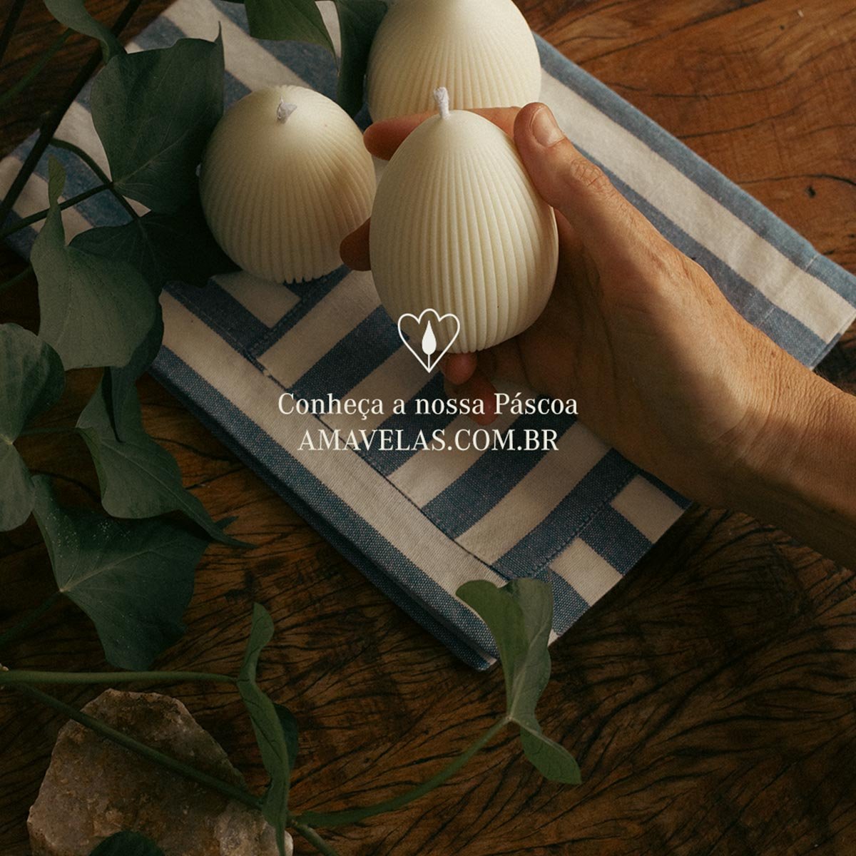 Combo Ninho Encantado - Imagem 8