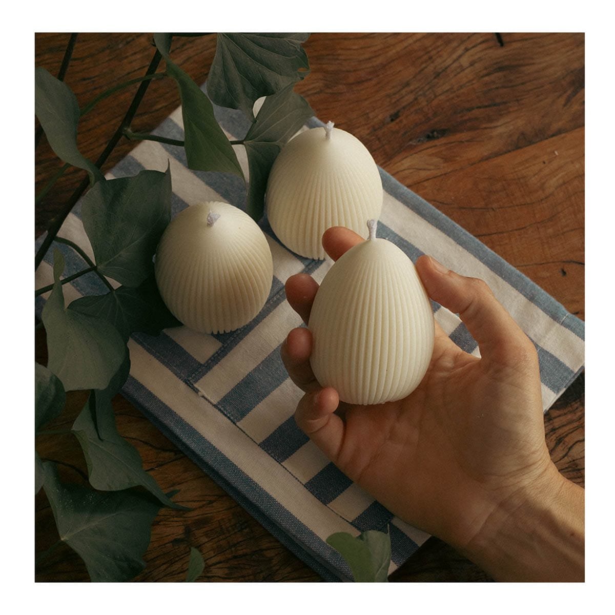 Combo Ninho de Luz - Imagem 5