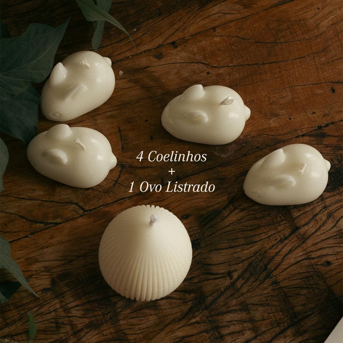 Combo Ninho de Luz - Imagem 2