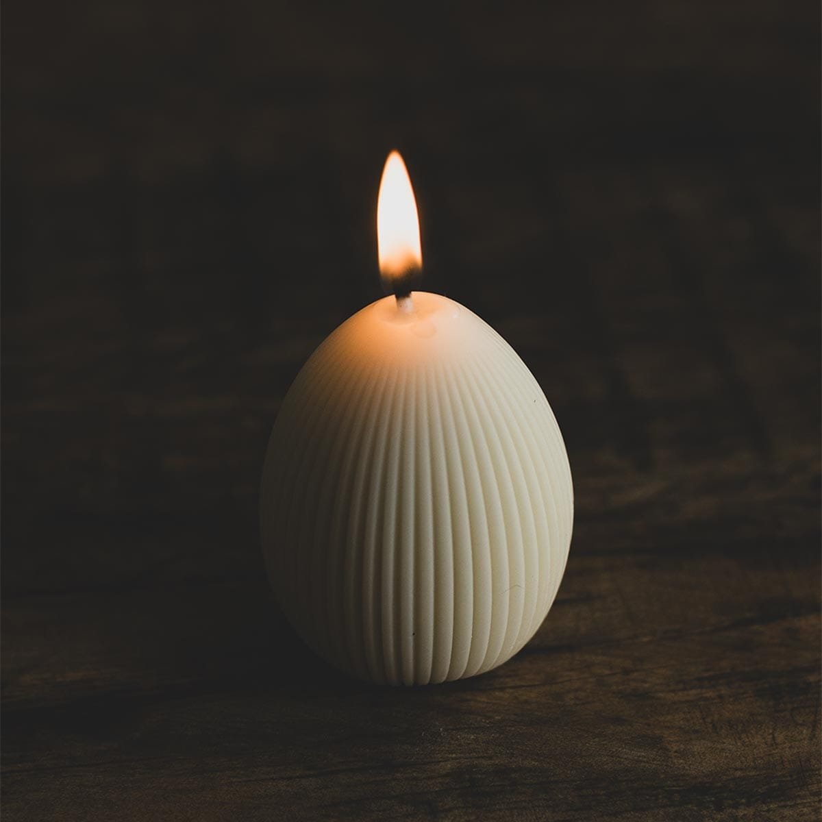 Combo Ninho de Luz - Imagem 7