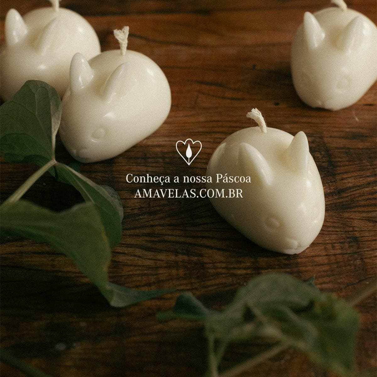 Combo Ninho de Luz - Imagem 4